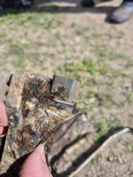 IMG_20260531_165117_878.jpg