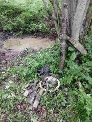 IMG_20260603_142925[1].jpg