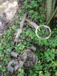 IMG_20260603_132950[1].jpg