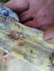 IMG_20260611_203121[1].jpg