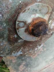 IMG_20260611_203441[1].jpg