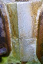 DSC03455.JPG