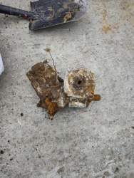 IMG_20260704_114808.jpg