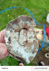 IMG_20260704_181152_426.jpg