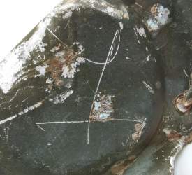 70.jpg
