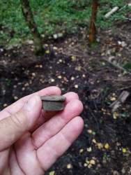IMG_20260805_172501_993.jpg
