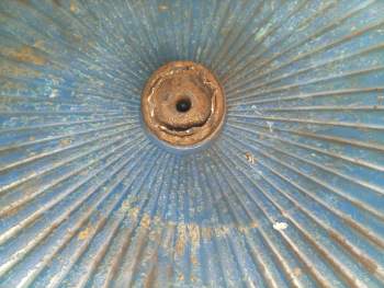 IMG_20260818_170335_564.jpg