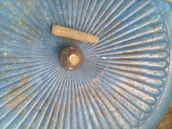 IMG_20260818_171125_450.jpg