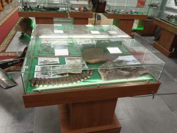 IMG20261028075727.jpg