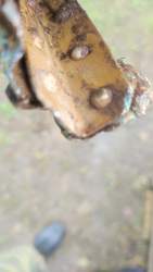IMG_20260925_105810.jpg