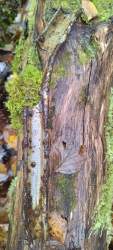 IMG_20261010_222016_910.jpg