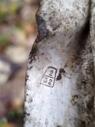 IMG_20261010_222106_145.jpg
