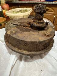IMG_3576.jpeg