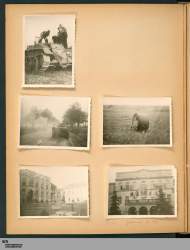 file-21.jpg