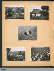 file-39.jpg