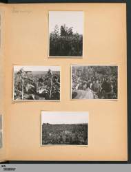 file-40.jpg