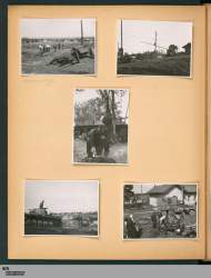 file-45.jpg