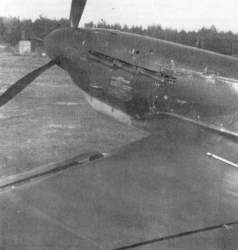 i_037.jpg